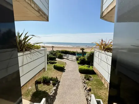 Appartement luxe face mer, piscine chauffée, animaux acceptés : photo 14