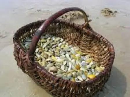 Fleur de Sel : maison 3 chambres à 10 min de plage - Photo 20