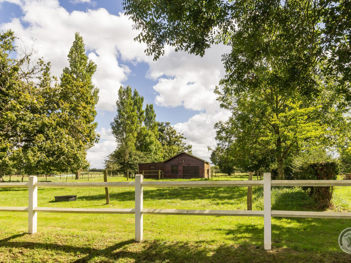 Maison mitoyenne à Picauville, jardin et chevaux acceptés - Photo 15