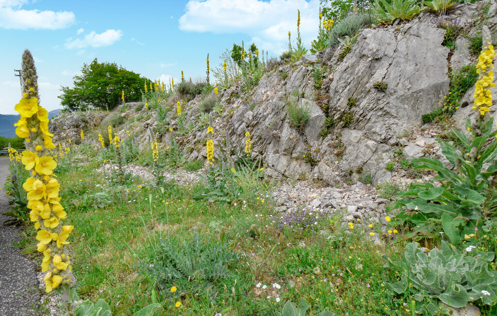 Maison de pierre avec vue panoramique à Serrone - Photo 15
