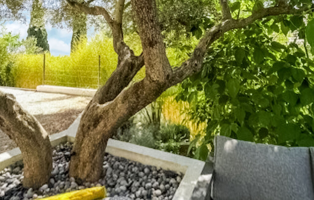 Villa d'architecte avec piscine à Allauch - Photo 14