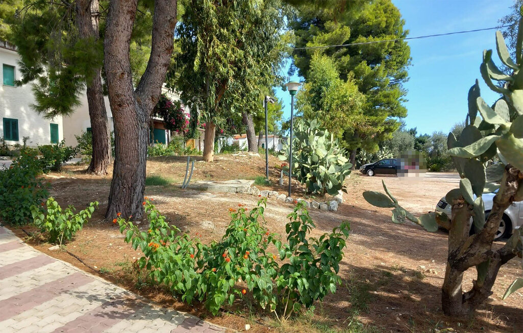 Appartement 4 personnes à Vieste - Photo 15