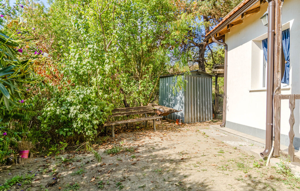 Maison 4 personnes à Dego - Photo 31