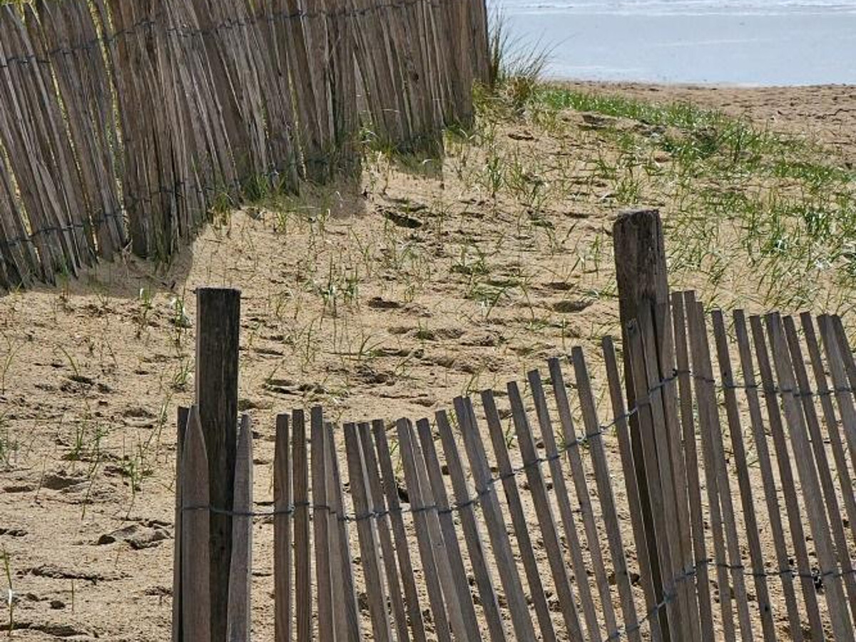 Gite 6 pers. avec jardin et vélos à Montmartin-sur-Mer - Photo 20