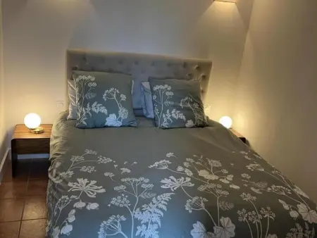 Chai indépendant avec jacuzzi et jardin clos, Saint-Aubin-de-Lanquais : photo 8