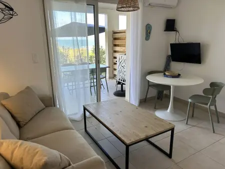 Appartement neuf climatisé avec piscine chauffée à Linguizzetta : photo 3