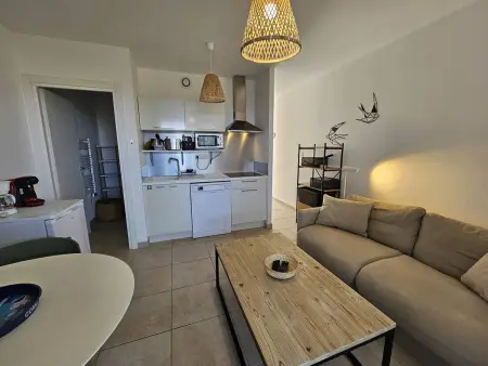 Appartement neuf climatisé avec piscine chauffée à Linguizzetta : photo 5