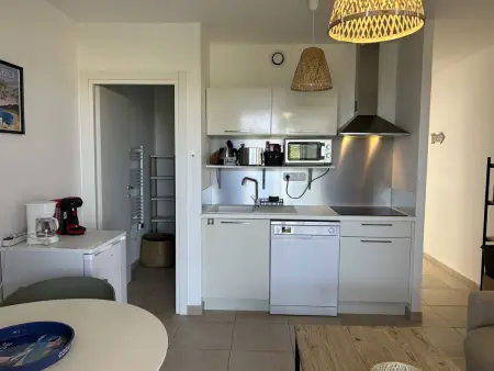 Appartement neuf climatisé avec piscine chauffée à Linguizzetta : photo 6