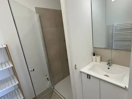 Appartement neuf climatisé avec piscine chauffée à Linguizzetta : photo 12