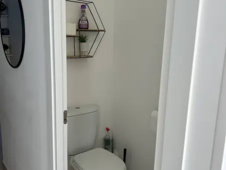 Appartement neuf climatisé avec piscine chauffée à Linguizzetta : photo 14
