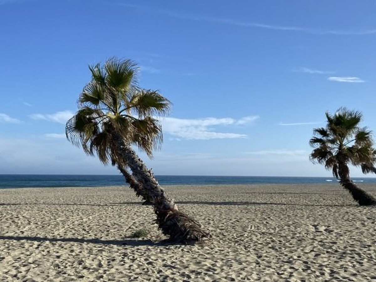 Maisonnette climatisée 2 min de la plage au Barcarès - Photo 16