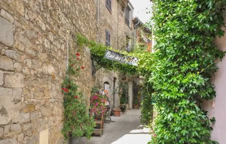 Maison 5 chambres avec piscine privée à Mougins : photo 28
