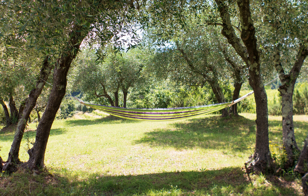 Casa Attilio – Maison toscane 6 pers. avec jardin - Photo 7