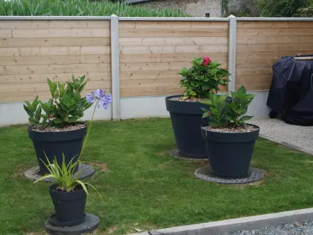 Charmante maisonnette sur colline - Jardin privé, parking - Photo 18