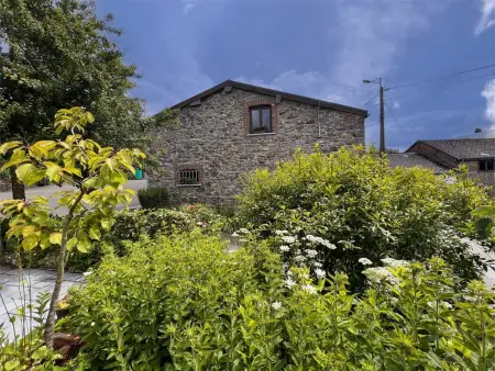 Alegria : maison en lisière de forêt à Trois-Ponts, 3 chambres : photo 36