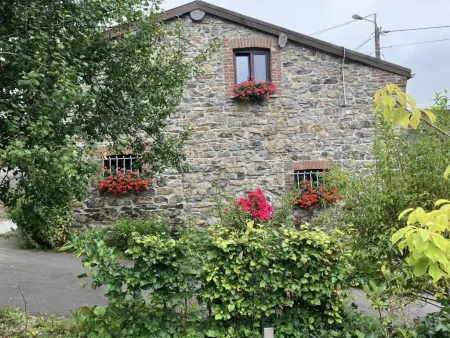 Alegria : maison en lisière de forêt à Trois-Ponts, 3 chambres : photo 42