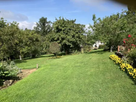 Alegria : maison en lisière de forêt à Trois-Ponts, 3 chambres : photo 45