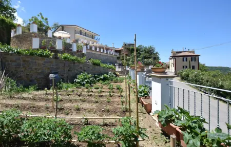 Maison 18 personnes à Laureana Cilento - Photo 8