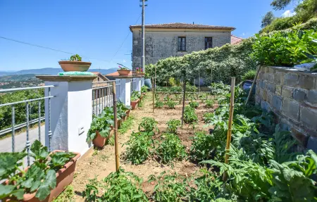 Maison 18 personnes à Laureana Cilento - Photo 67