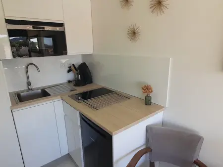 Studio climatisé avec piscine à Cap d'Agde : photo 8