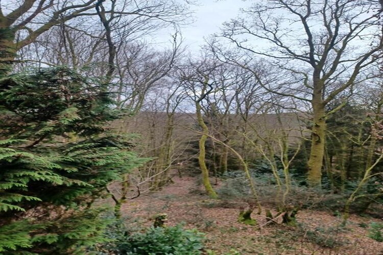 Chalet Vogelzang - Domaine des Nobertins - Photo 19