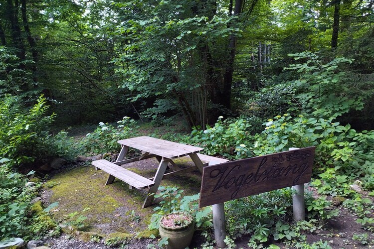 Chalet Vogelzang - Domaine des Nobertins - Photo 22