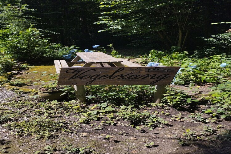 Chalet Vogelzang - Domaine des Nobertins - Photo 26