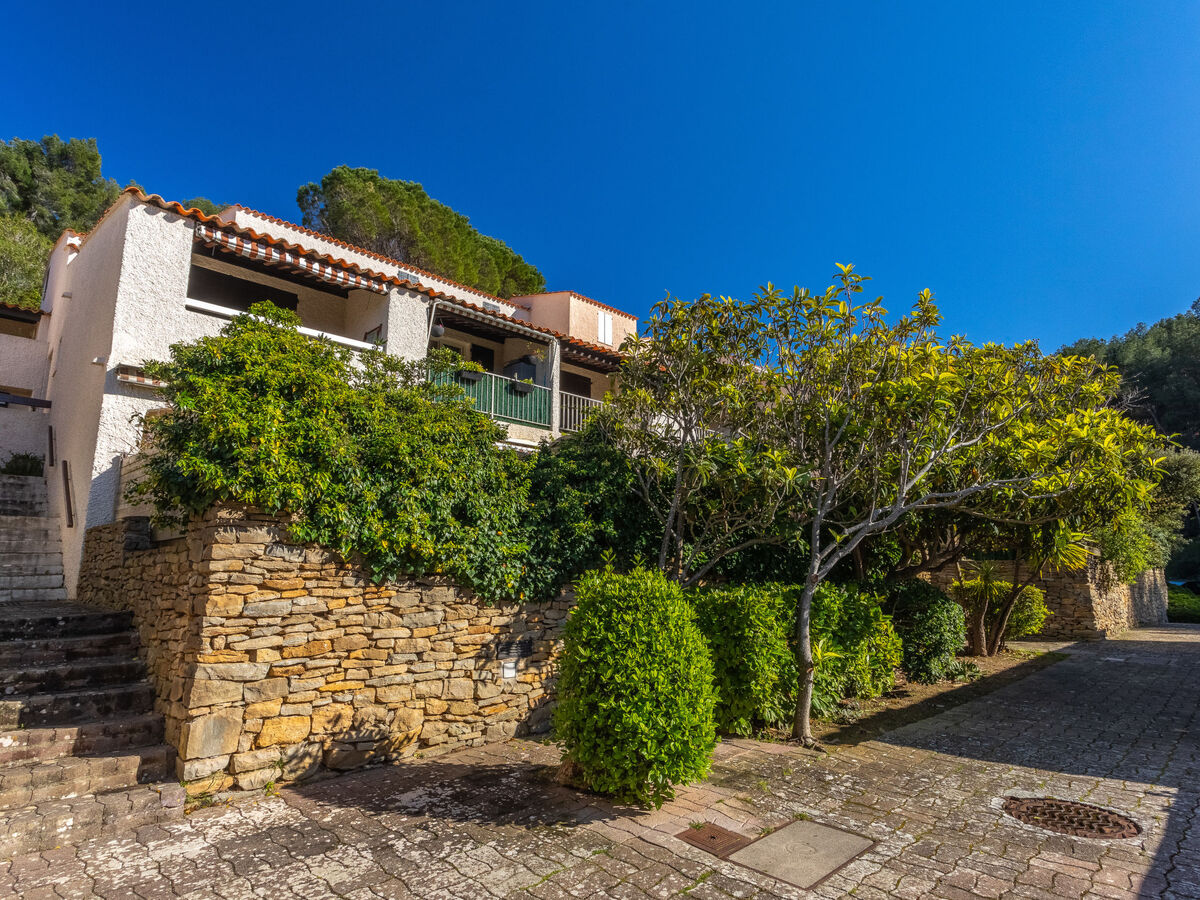 Studio terrasse à 400 m de la plage, La Madrague - Photo 17