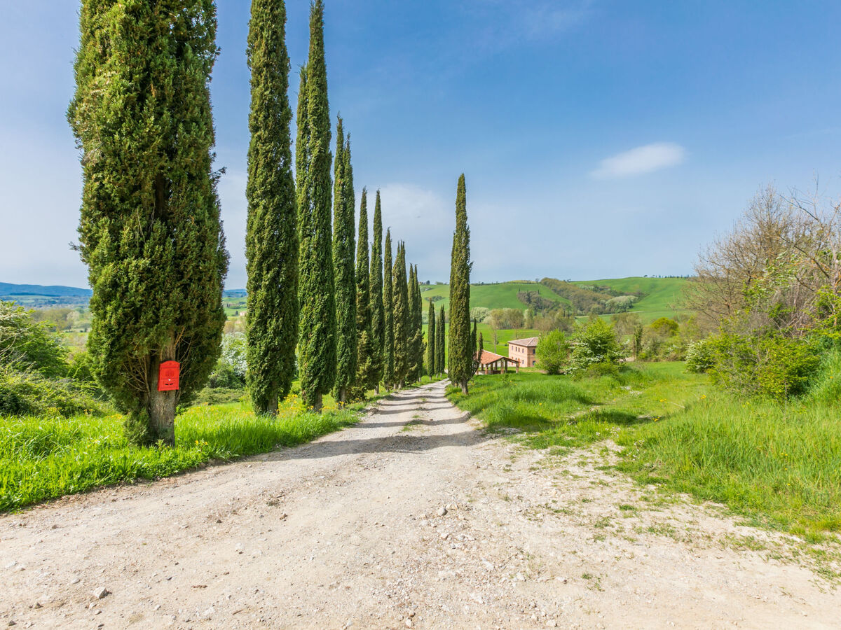 Podere Vetricella – Villa 8 pers. rénovée 2023, piscine privée - Photo 52