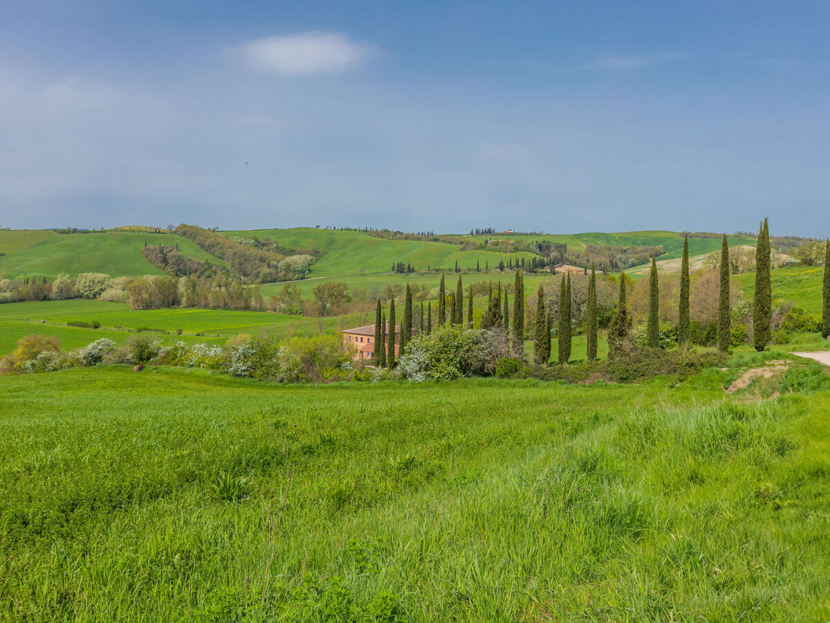 Podere Vetricella – Villa 8 pers. rénovée 2023, piscine privée - Photo 64