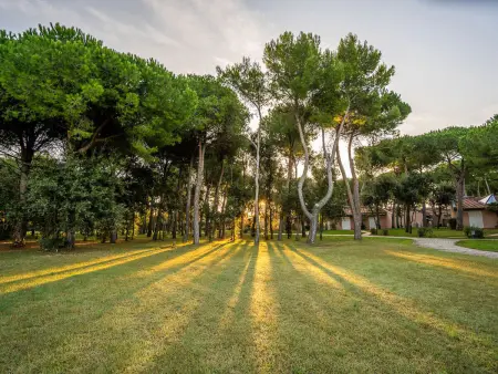 Maison Ansonica à San Vincenzo, 200 m de la plage - Photo 10