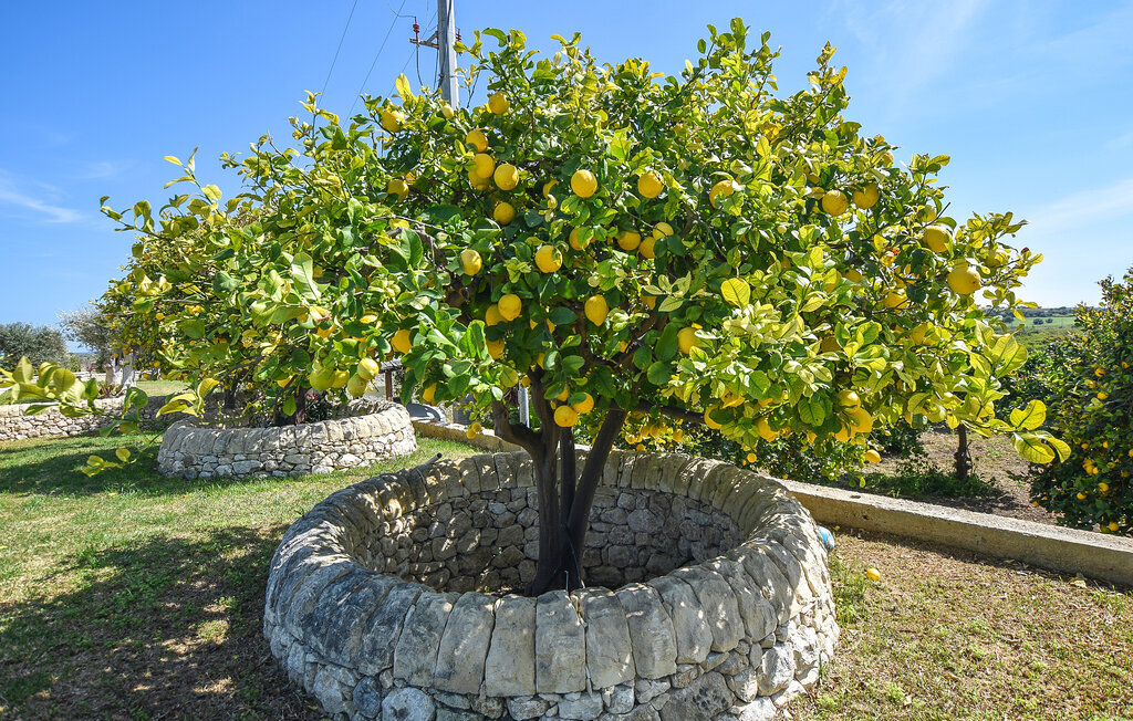Maison 5 personnes à Marina di Marza - Photo 20