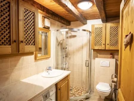 Studio 30 m² avec terrasse à Châtel, 4 pers, animaux : photo 8