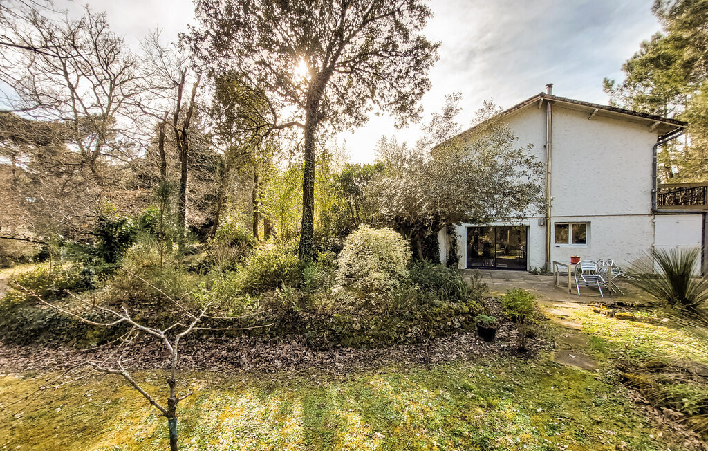 Maison 130 m² en forêt, accès direct pistes cyclables - Photo 10
