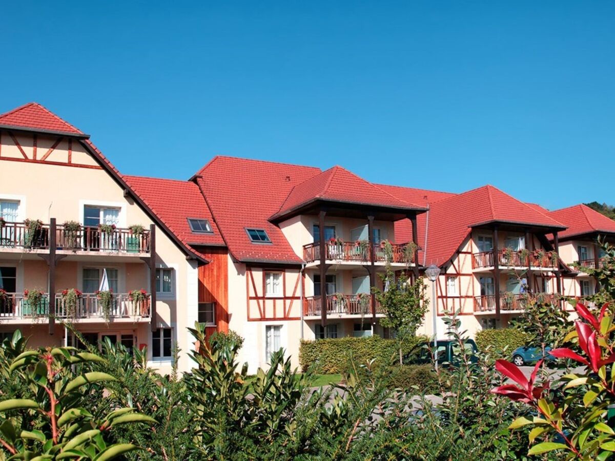 Apt 2 pièces Domaine des Rois à Bergheim - Photo 2