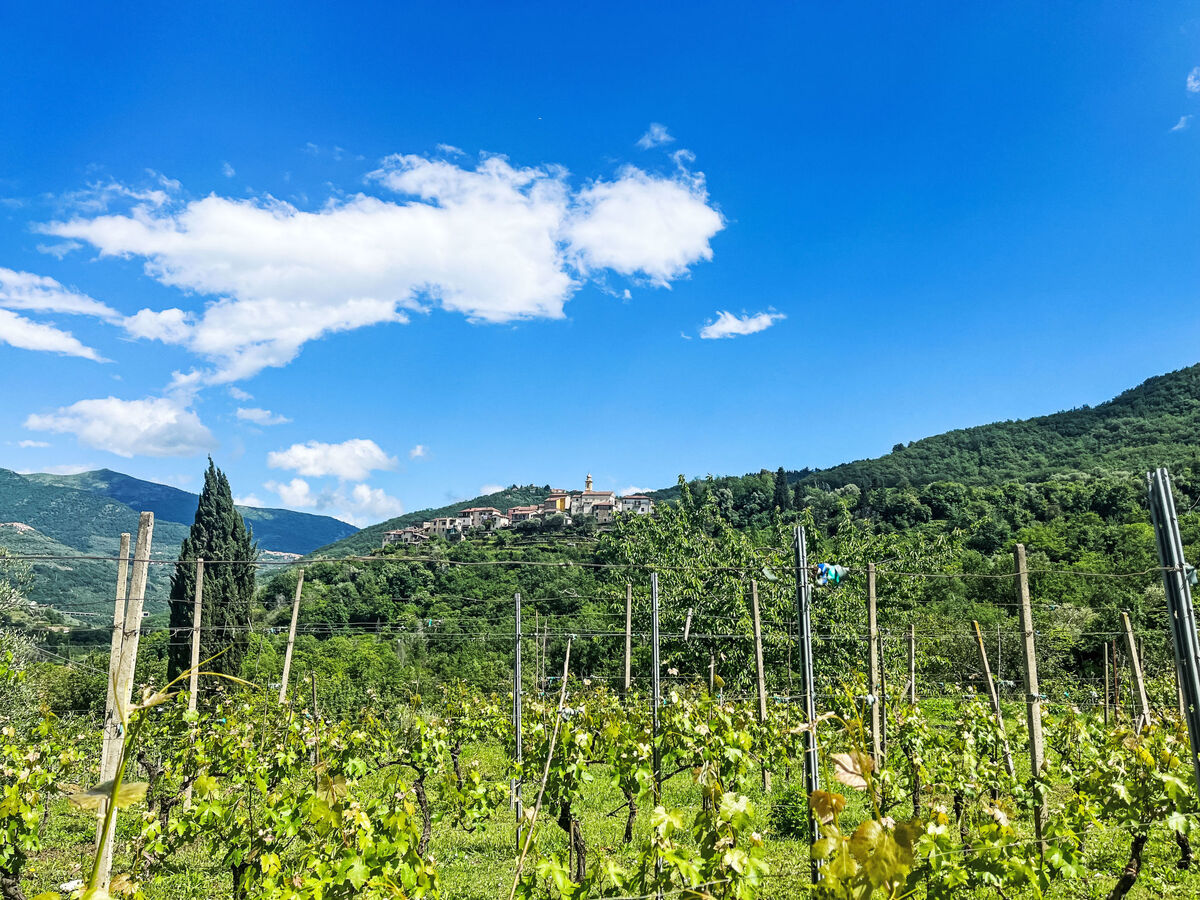 Castagna, maison 60 m² à Borgomaro avec vue panoramique - Photo 31