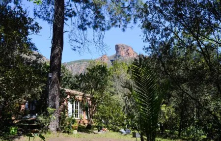 Maison 1 chambre en ferme, côte ouest corse : photo 6