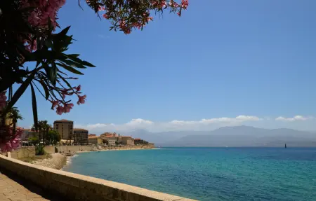 Maison 1 chambre en ferme, côte ouest corse : photo 19
