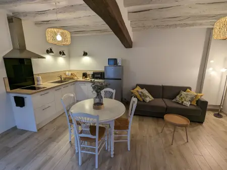 Gîte 55m² avec jardin et parking à Oison : photo 13
