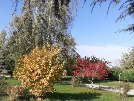 Gîte 55m² avec jardin et parking à Oison : photo 24