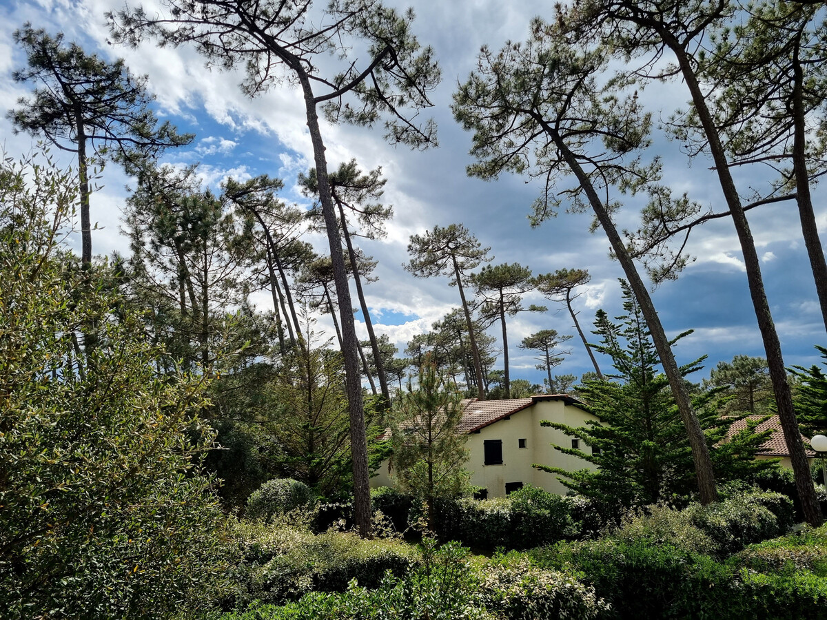 Maison 3 chambres Seignosse, plage à pied - Photo 25