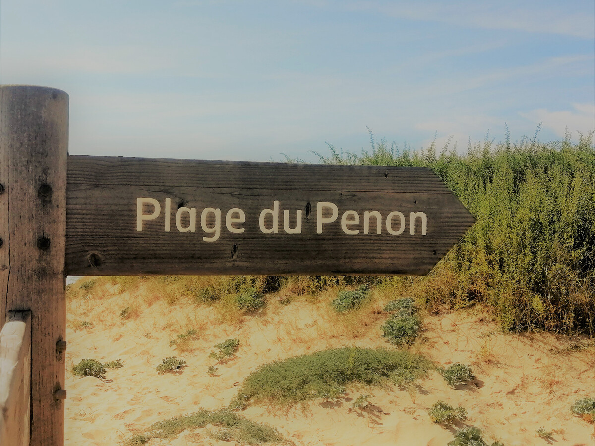 Maison 3 chambres Seignosse, plage à pied - Photo 26