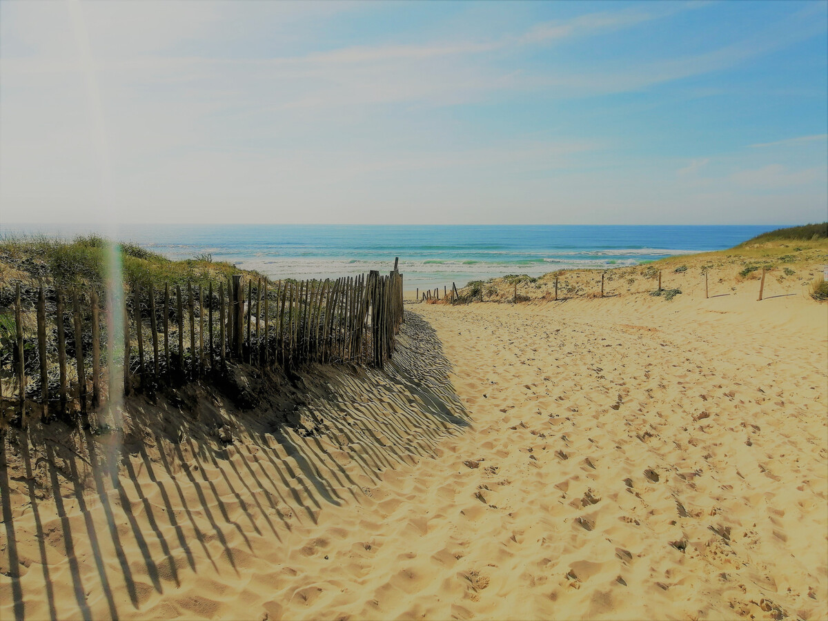 Maison 3 chambres Seignosse, plage à pied - Photo 30