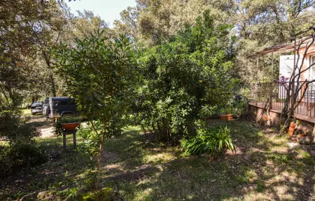 Maison 2 chambres en ferme avec terrasse, Corse : photo 9