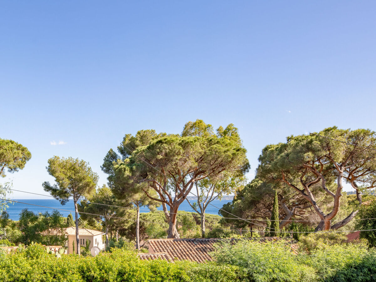 La Treille, maison 6 pers. vue mer à Sainte-Maxime - Photo 4