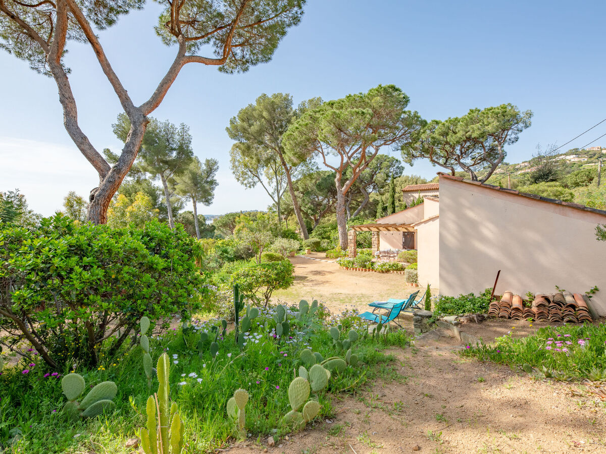 La Treille, maison 6 pers. vue mer à Sainte-Maxime - Photo 28