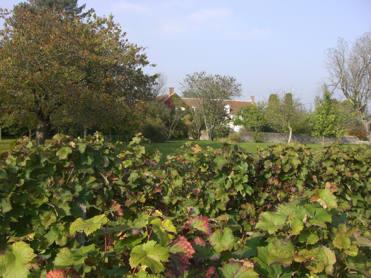 Gîte 12 pers. avec piscine chauffée et vignes à Saint-Georges-sur-Cher - Photo 29