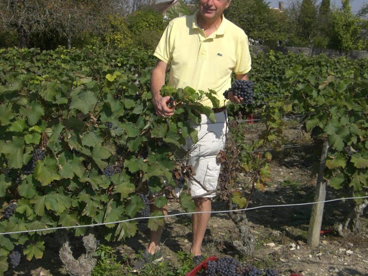 Gîte 12 pers. avec piscine chauffée et vignes à Saint-Georges-sur-Cher - Photo 33