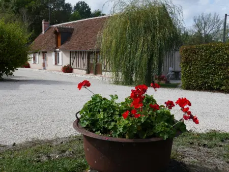 Location gite à Cour Cheverny, Gîte Rustique Charmant avec Terrasse Privative et Animal Accepté