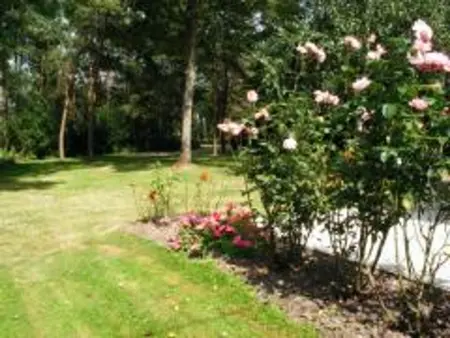 Gîte Rustique Charmant avec Terrasse Privative et Animal Accepté - Photo 14